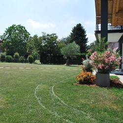 Manutenzione giardino e fioriere