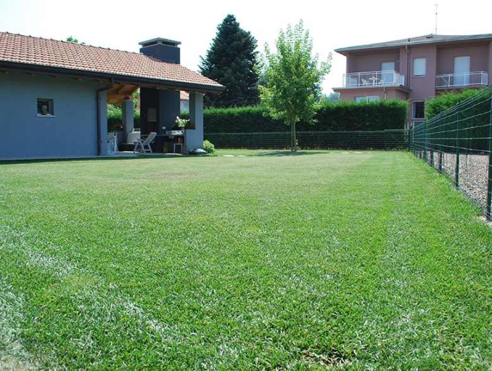 Manutenzione prato giardino