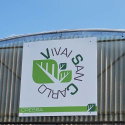 Vivai San Carlo - Cressa - Serre